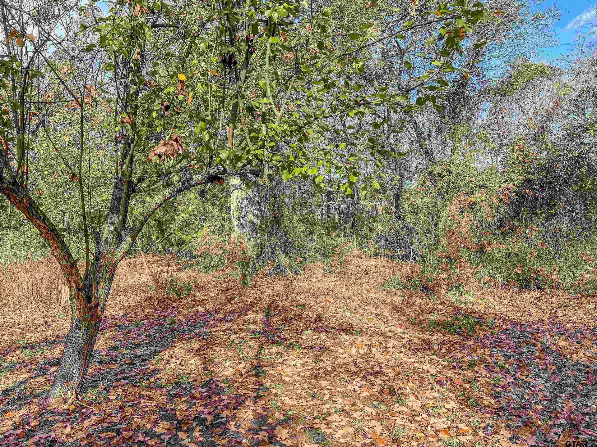 10.9 acres in Franklin County - photo 28