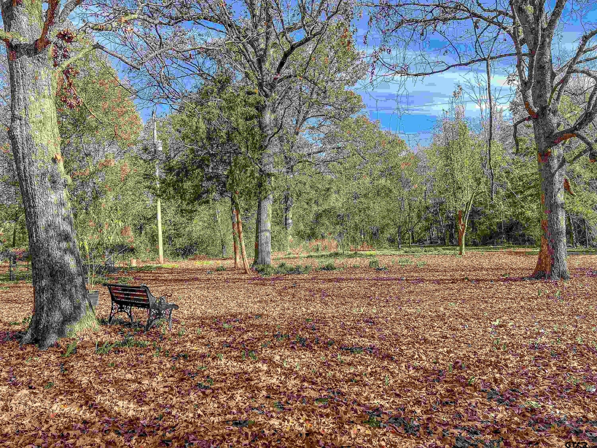 10.9 acres in Franklin County - photo 26