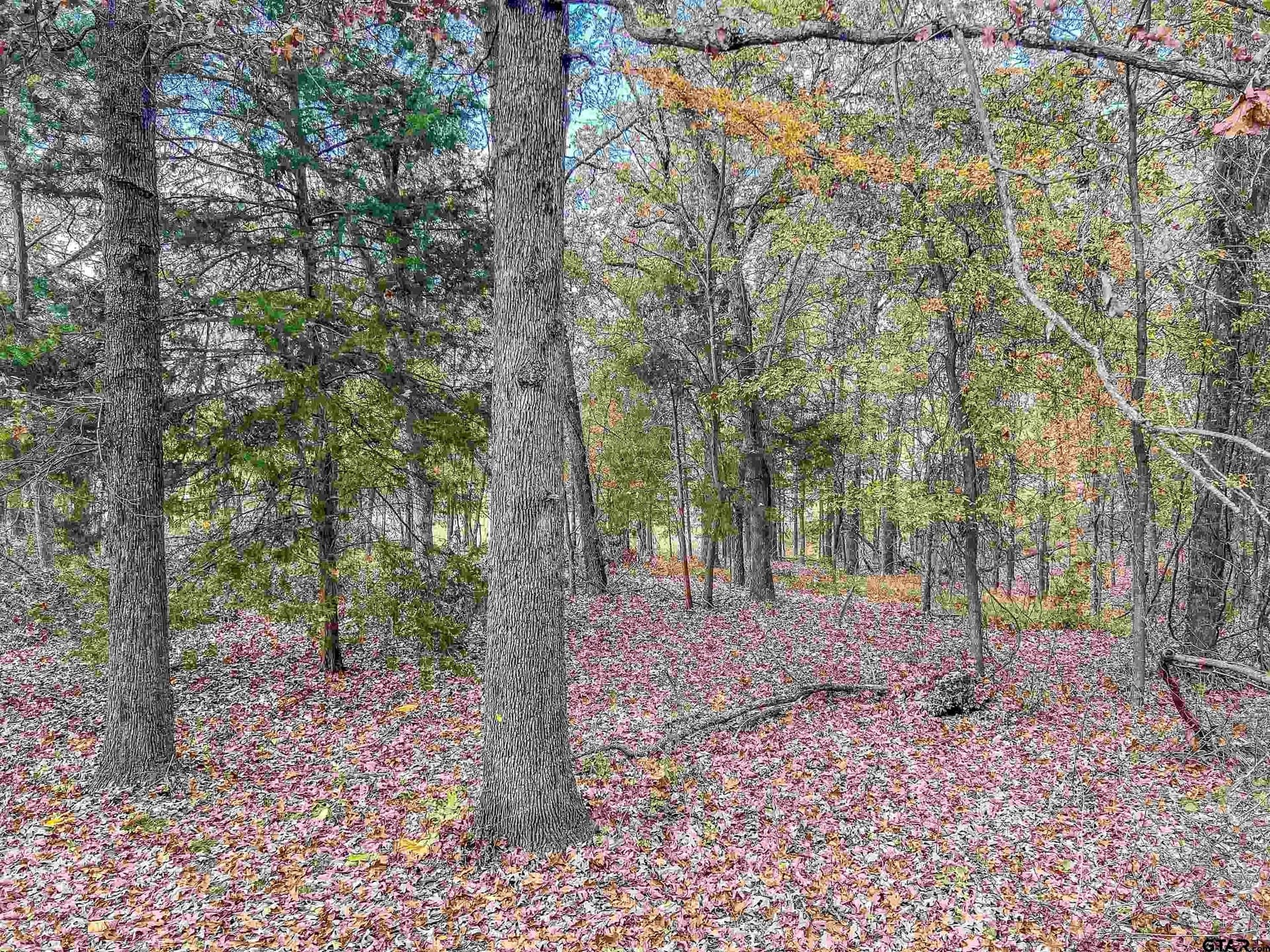 10.9 acres in Franklin County - photo 29