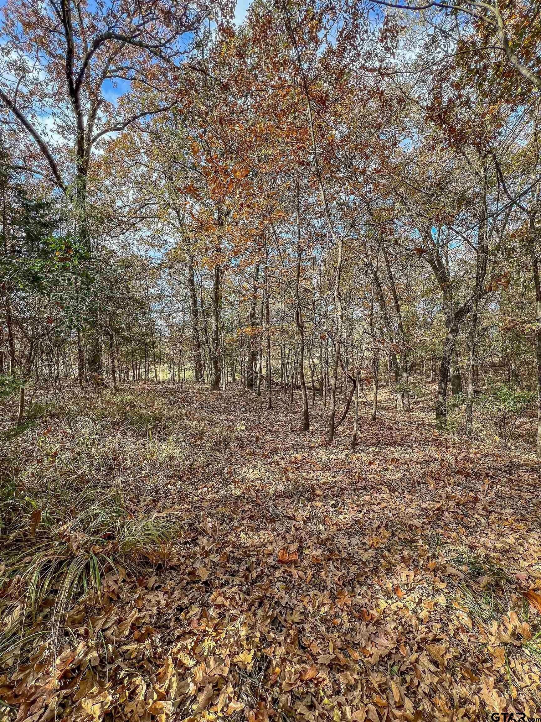 10.9 acres in Franklin County - photo 30