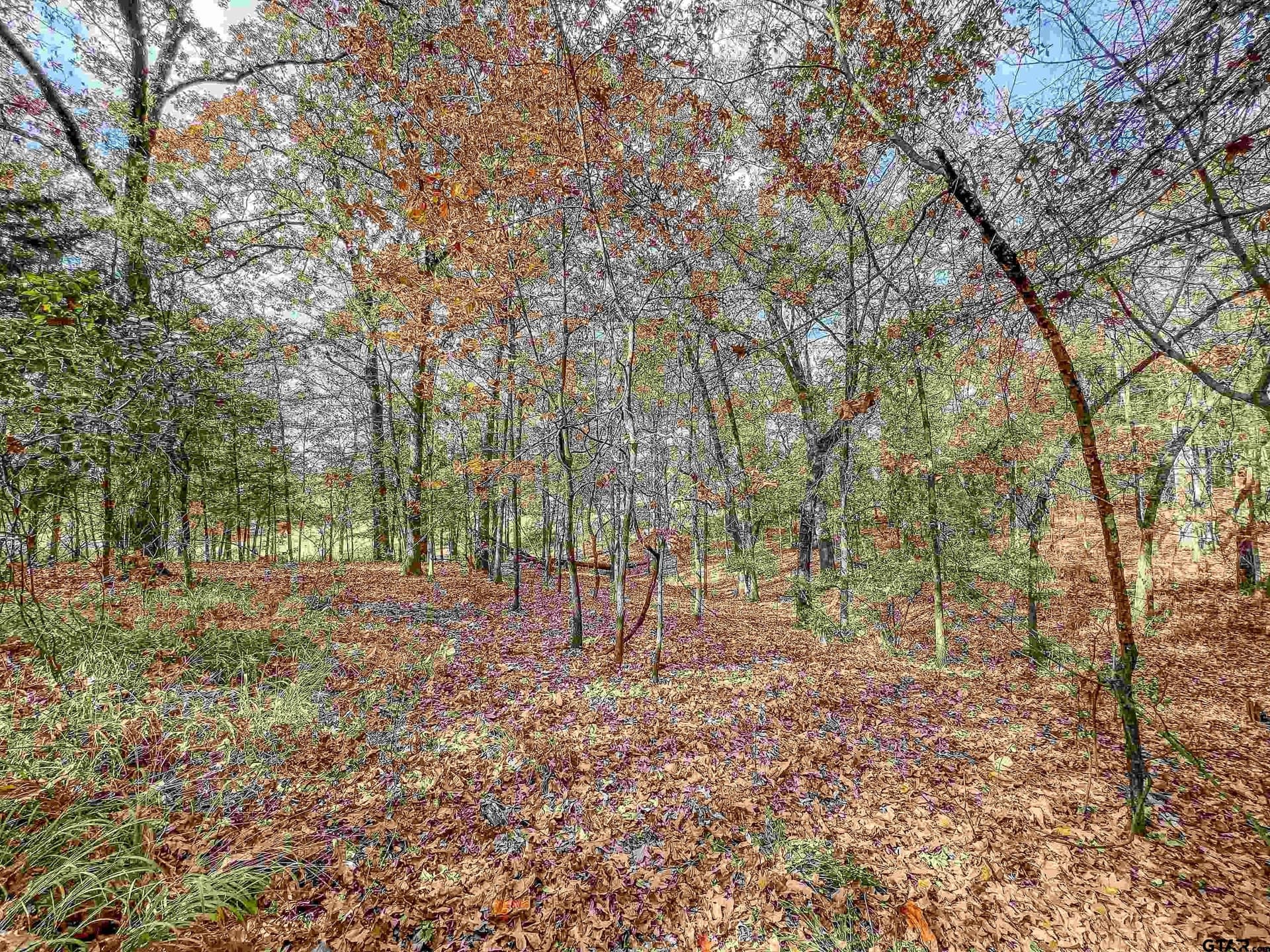 10.9 acres in Franklin County - photo 32
