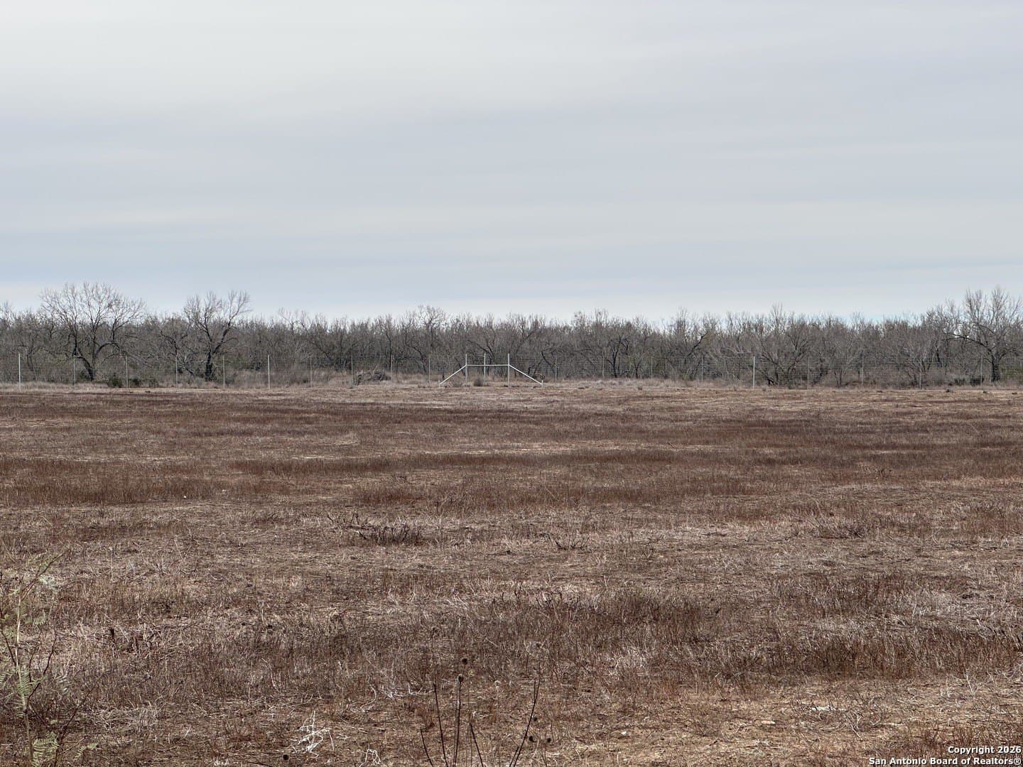 19.12 acres in Atascosa County - photo 5