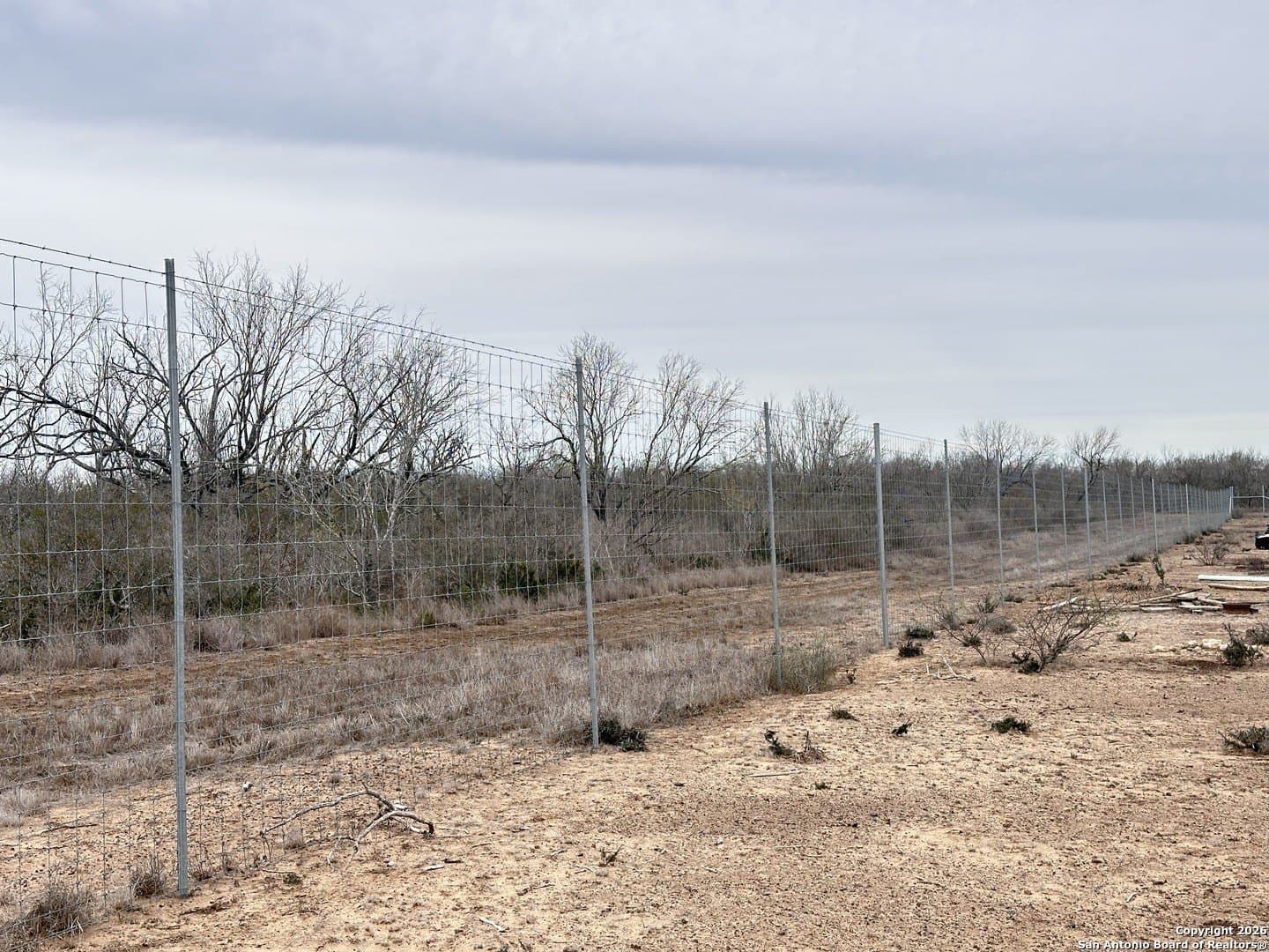 19.12 acres in Atascosa County - photo 3