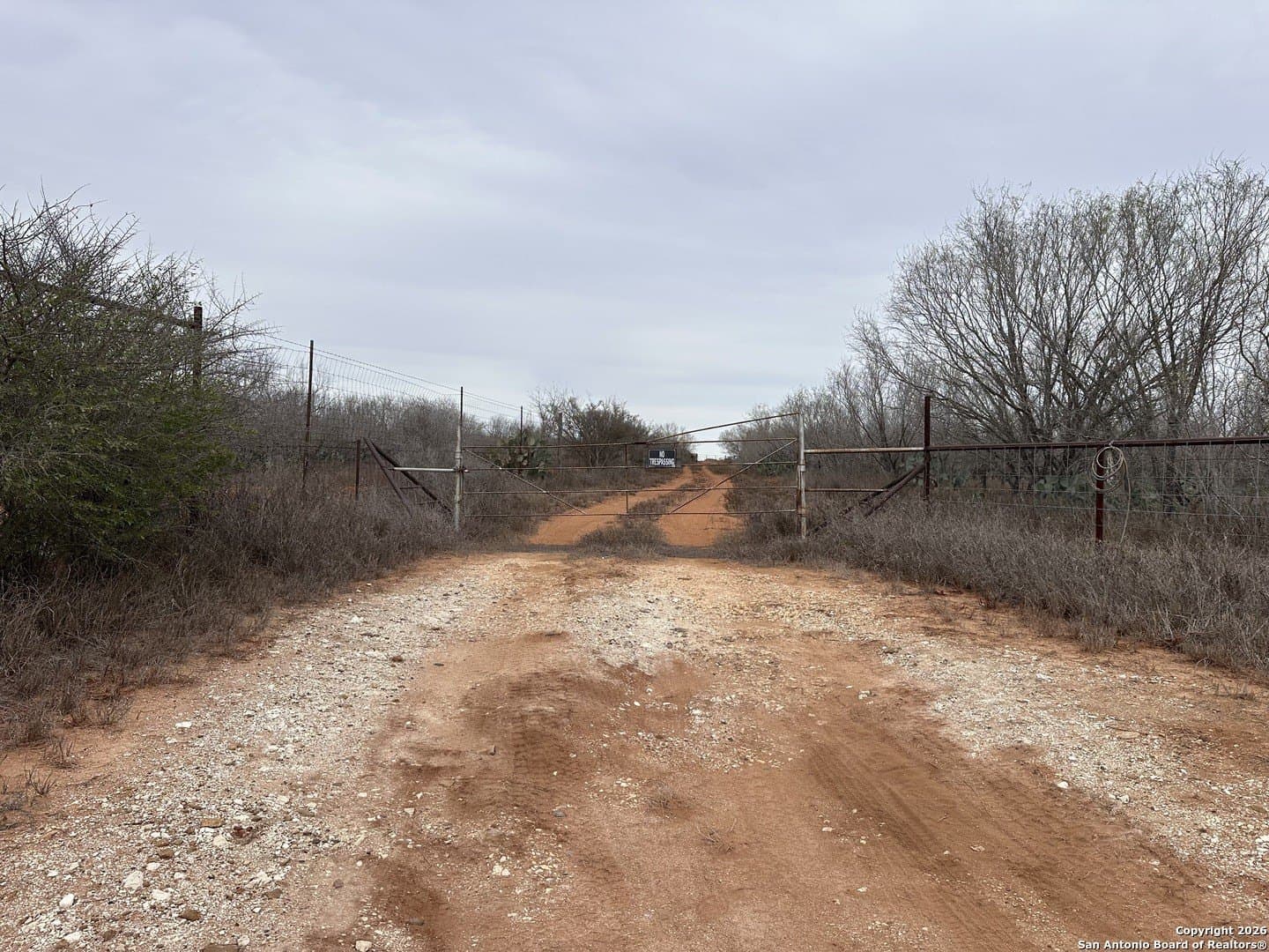 19.12 acres in Atascosa County - photo 2