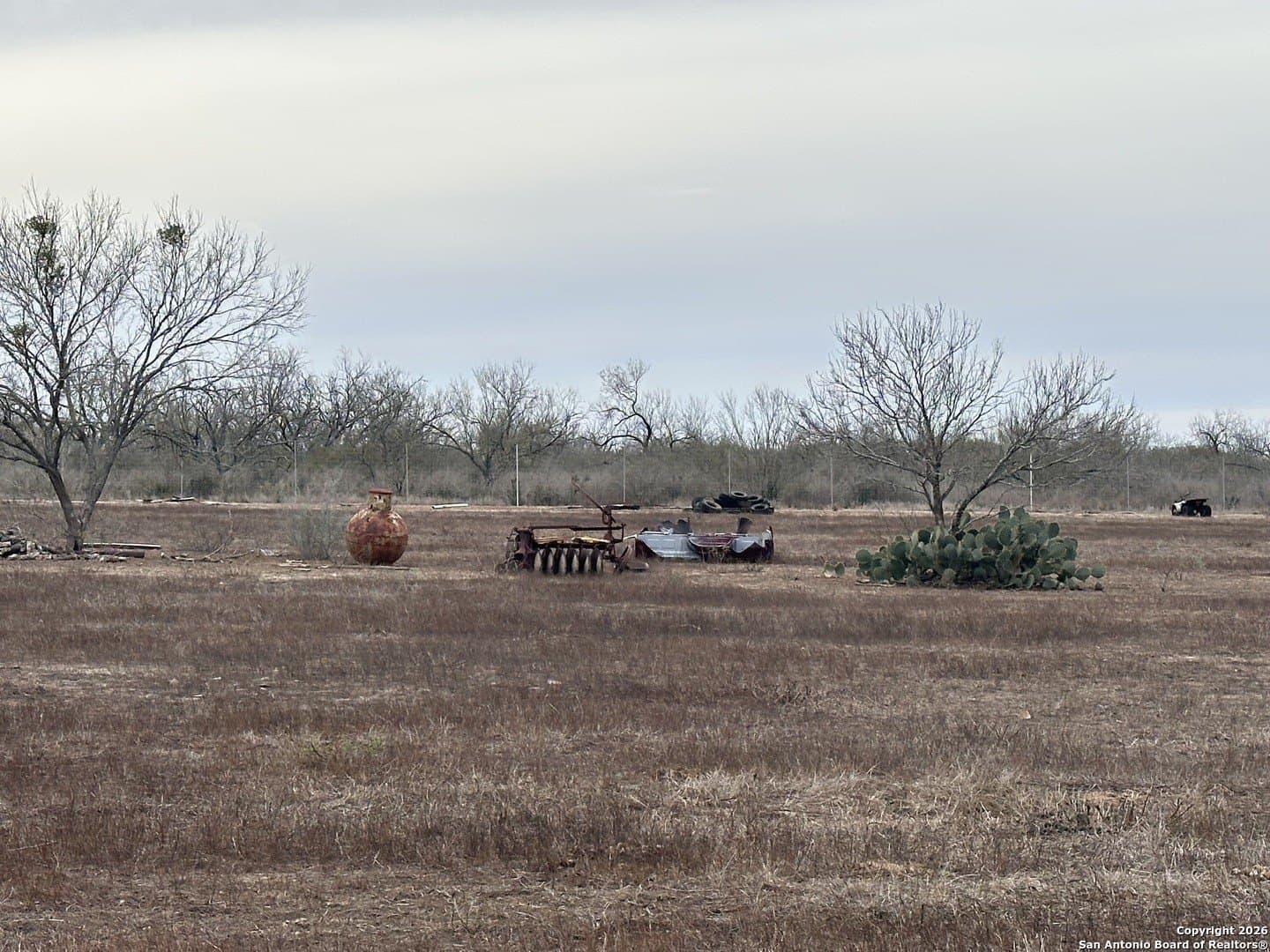 19.12 acres in Atascosa County - photo 4