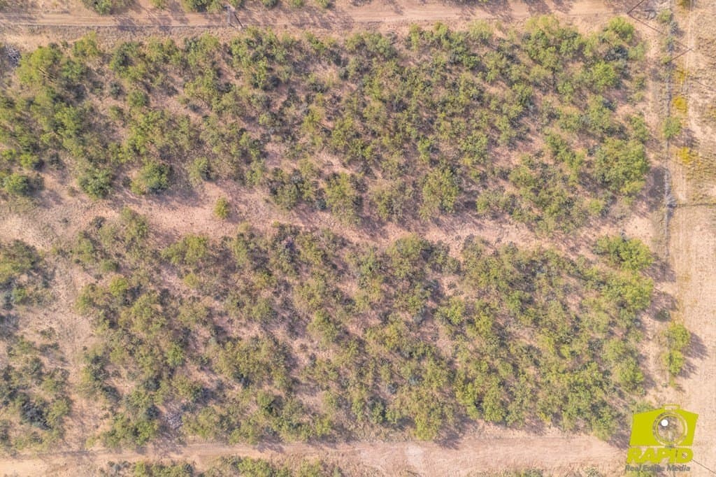 10.01 acres in Tom Green County - photo 20