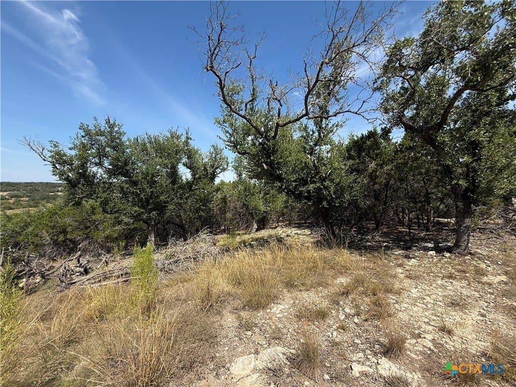 1.24 acres in Comal County - photo 5