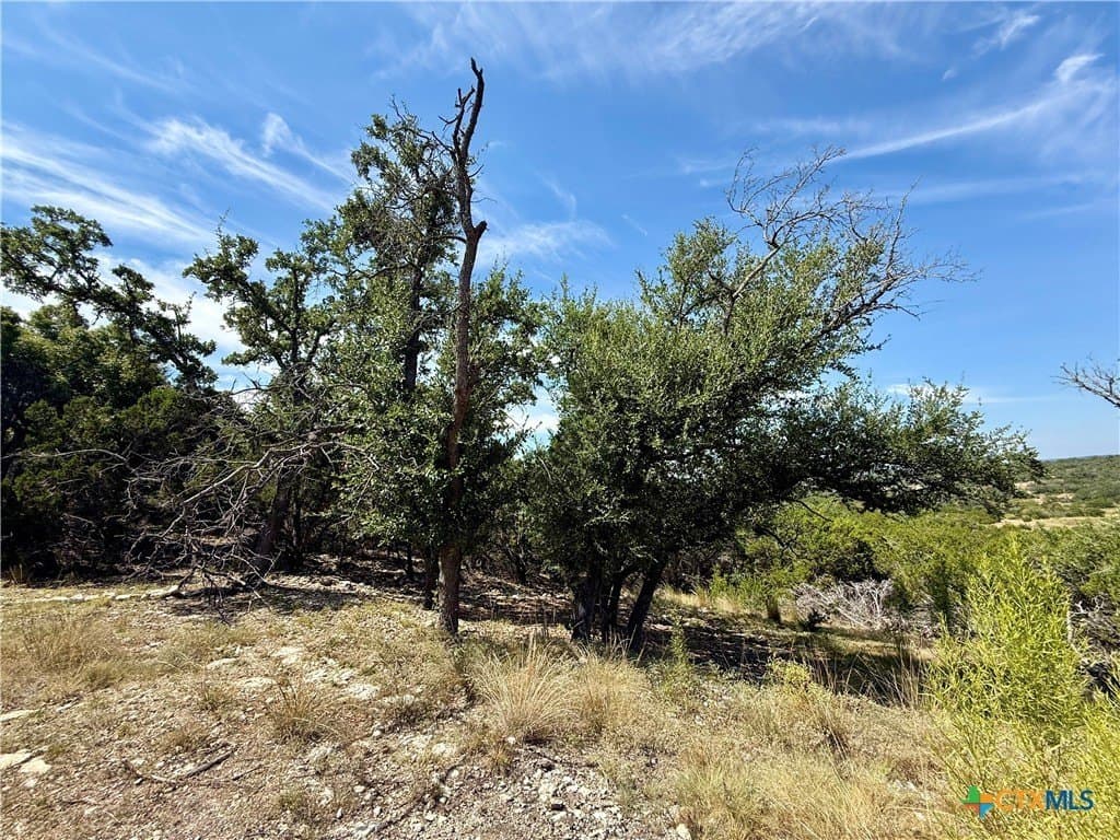 1.24 acres in Comal County - photo 4