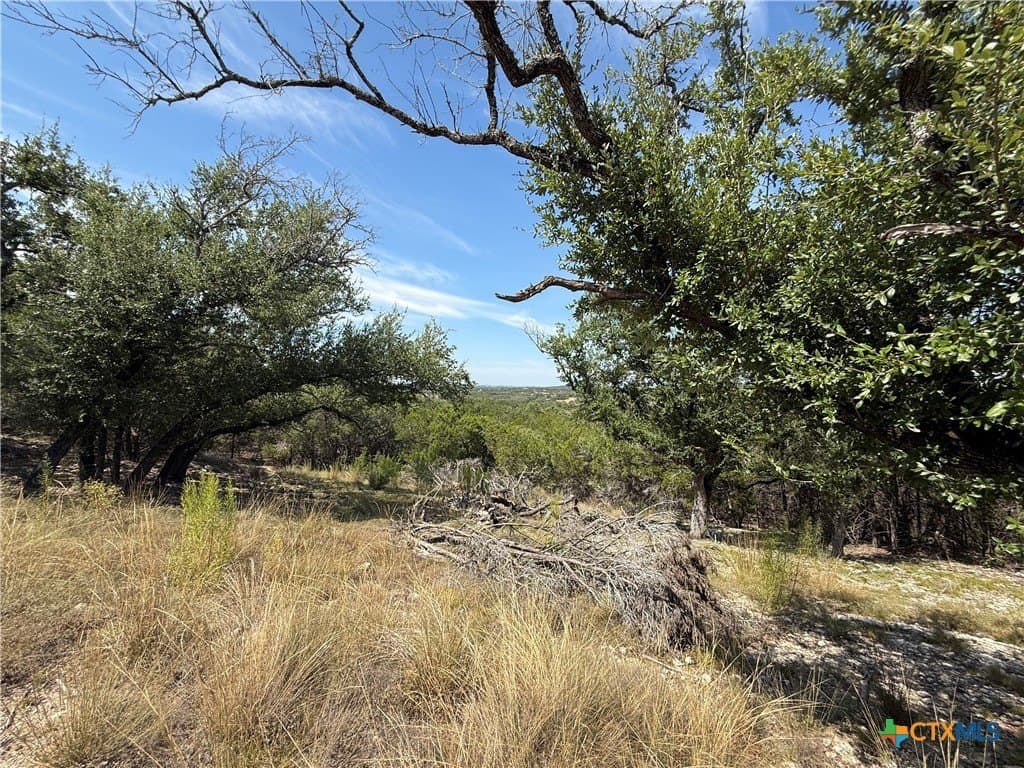 1.24 acres in Comal County - photo 3