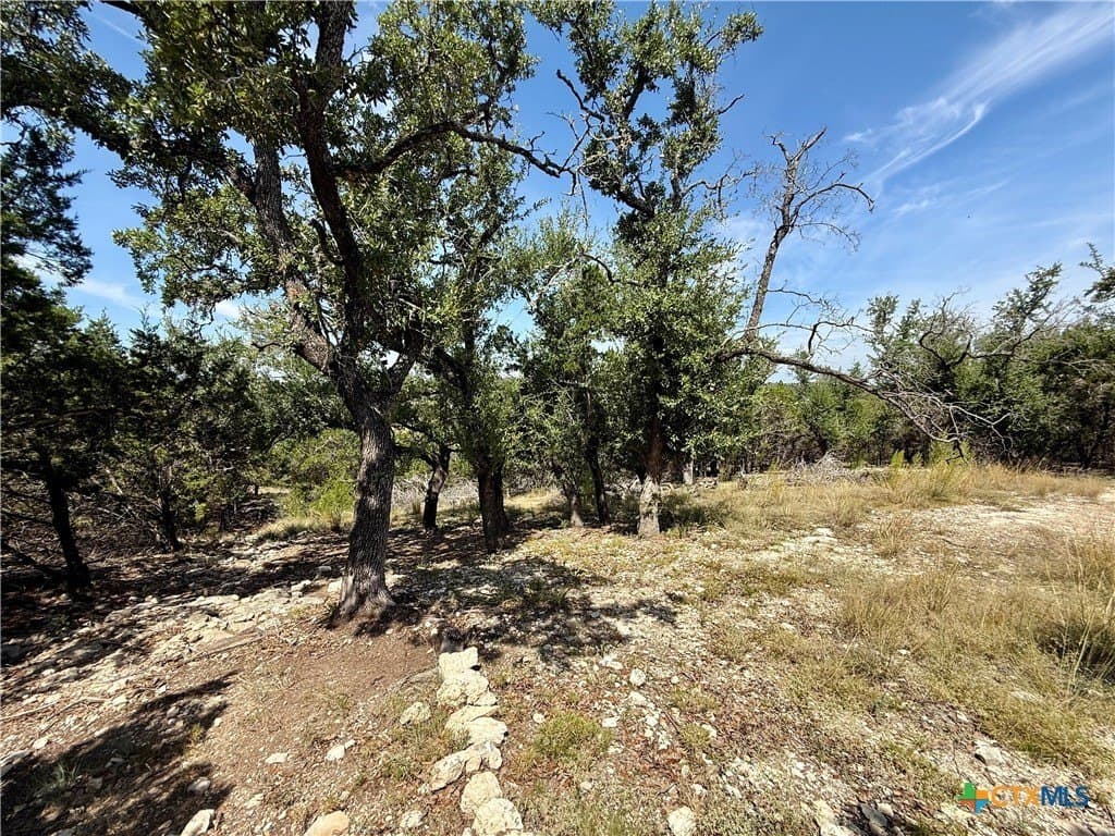 1.24 acres in Comal County - photo 8