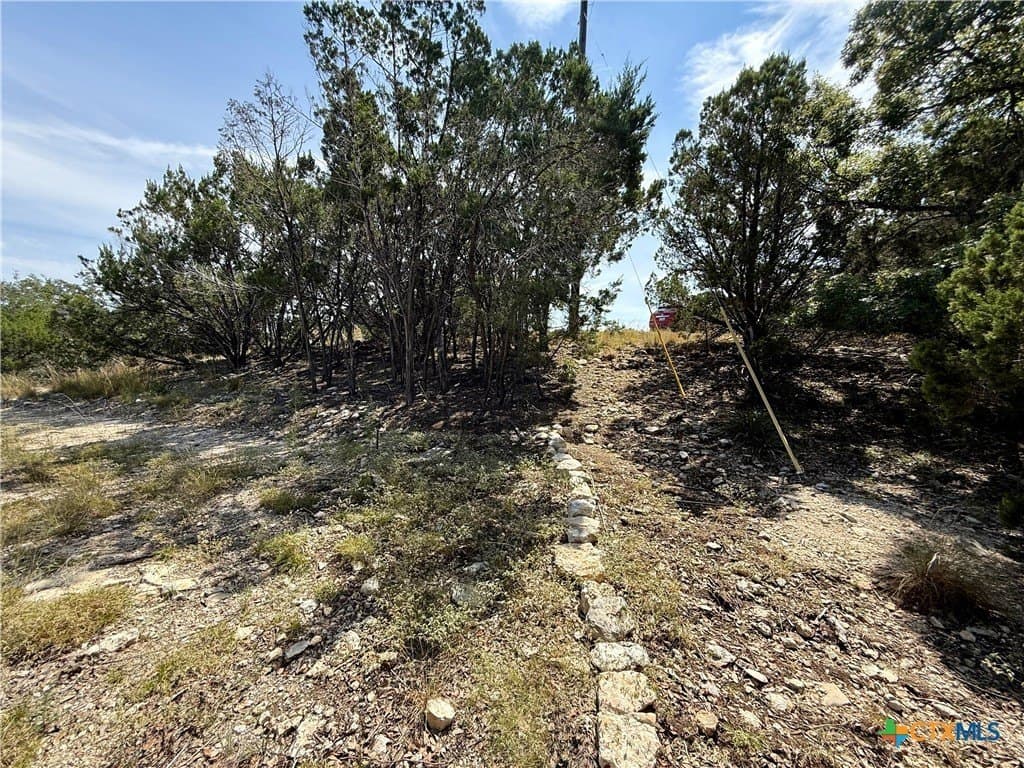 1.24 acres in Comal County - photo 6