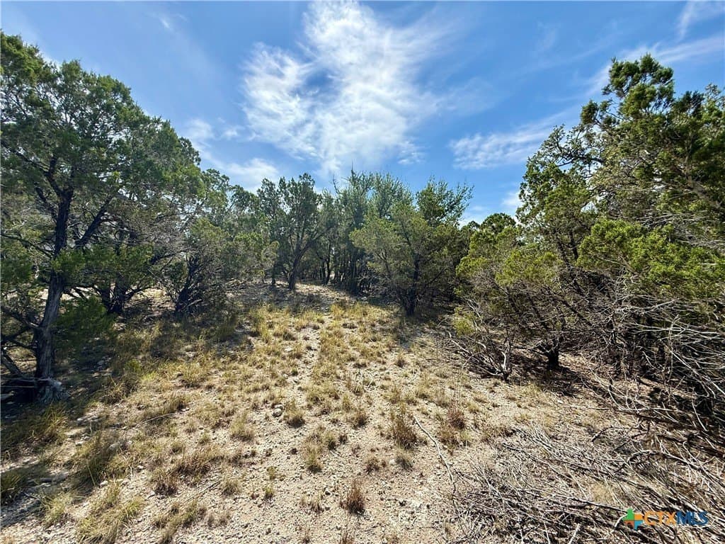 1.24 acres in Comal County - photo 2