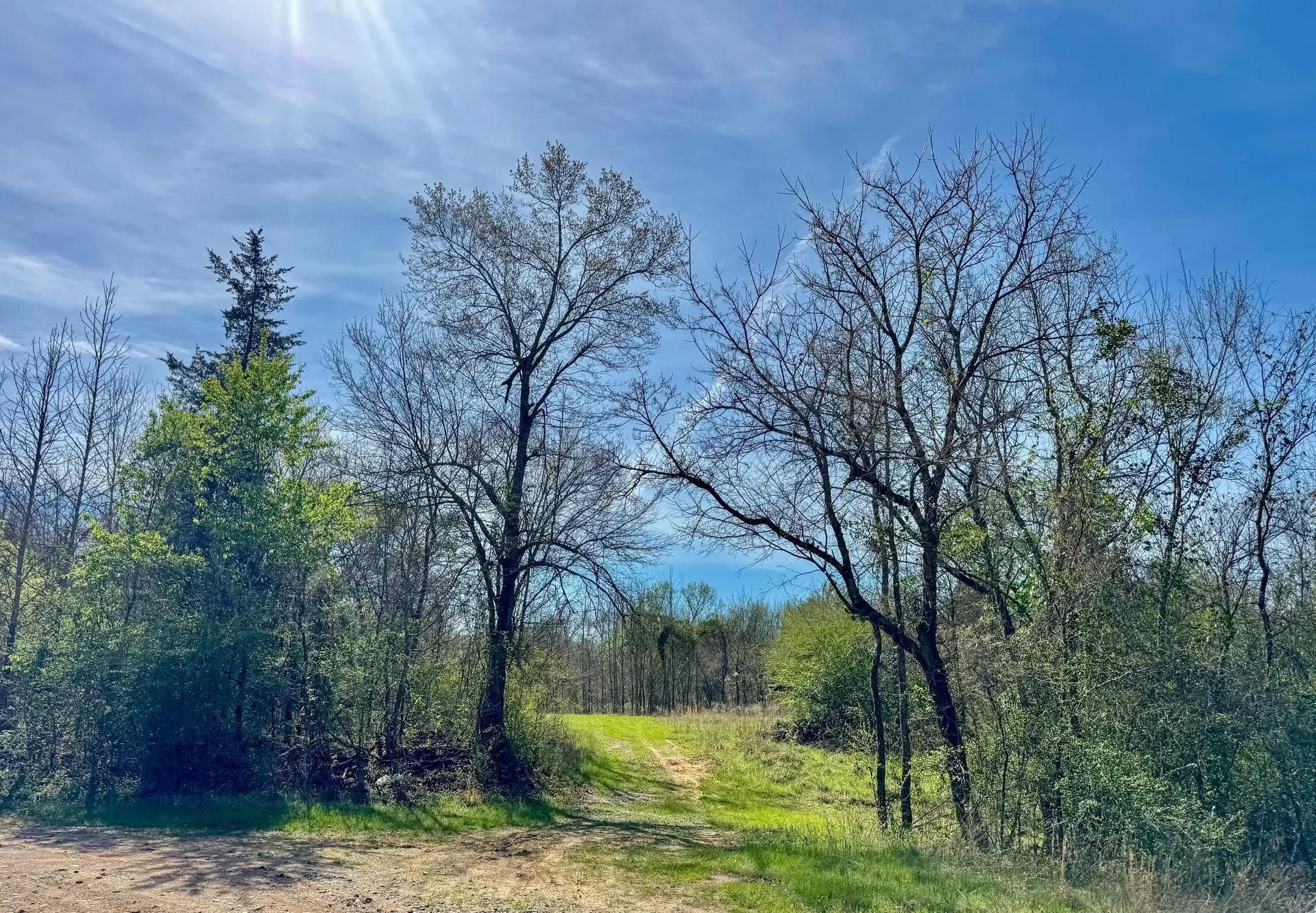 5.23 acres in Cass County - photo 5
