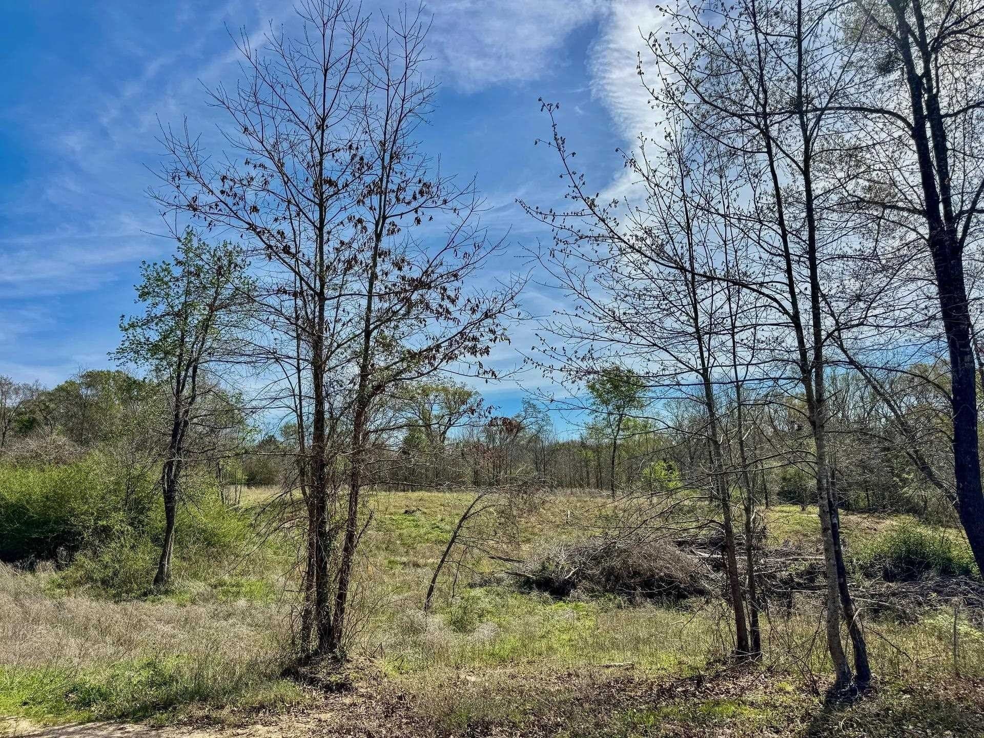5.23 acres in Cass County - photo 7