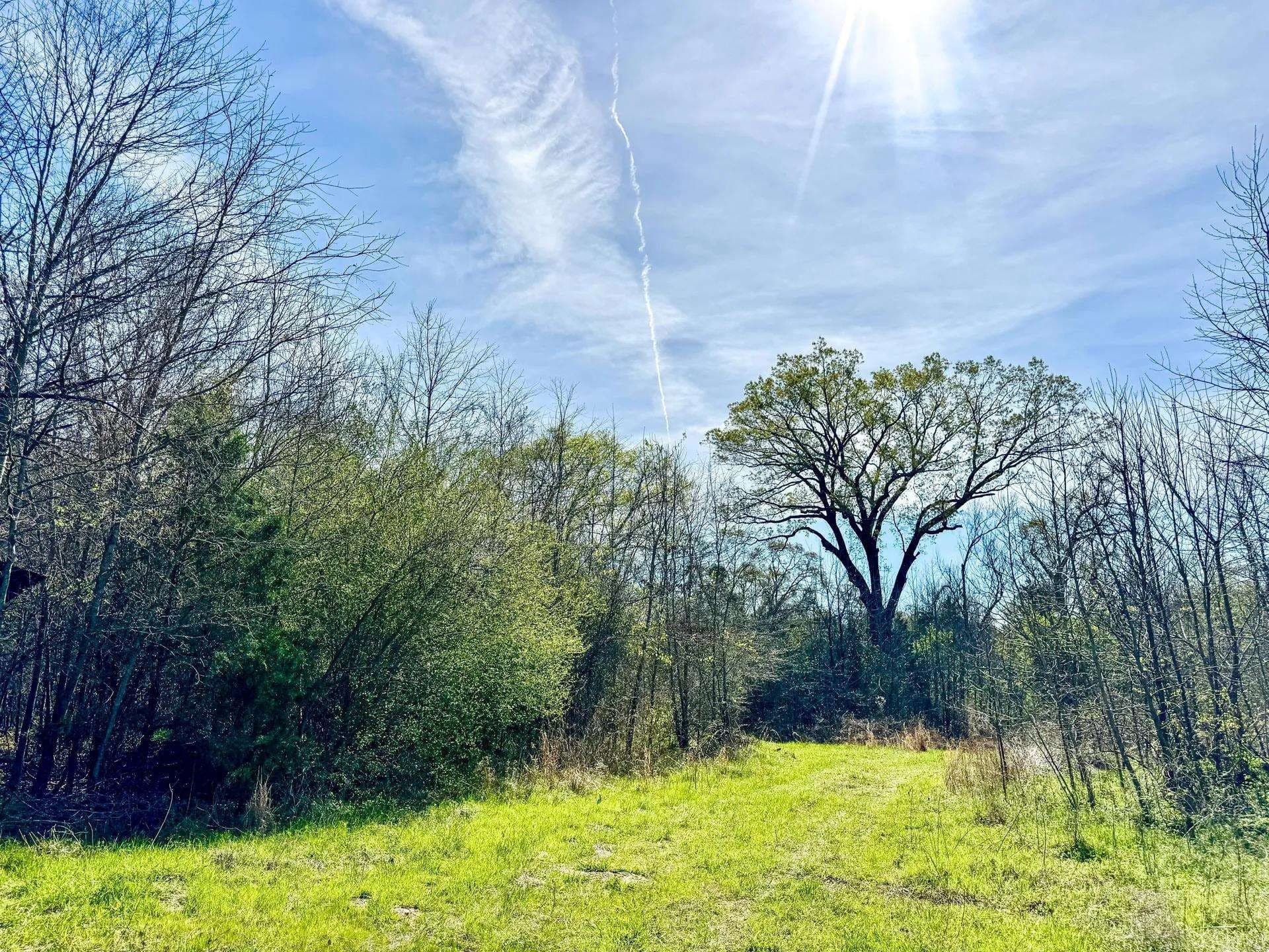 5.23 acres in Cass County - photo 8