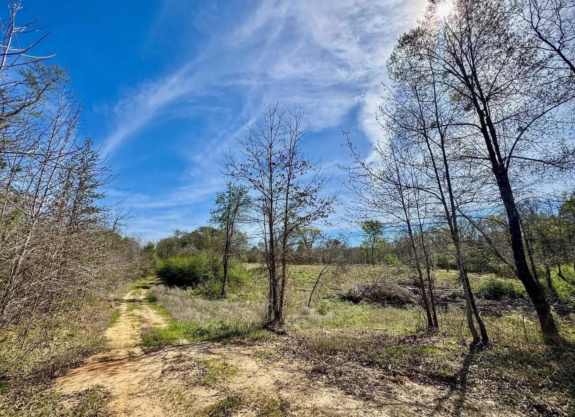 5.23 acres in Cass County - photo 4