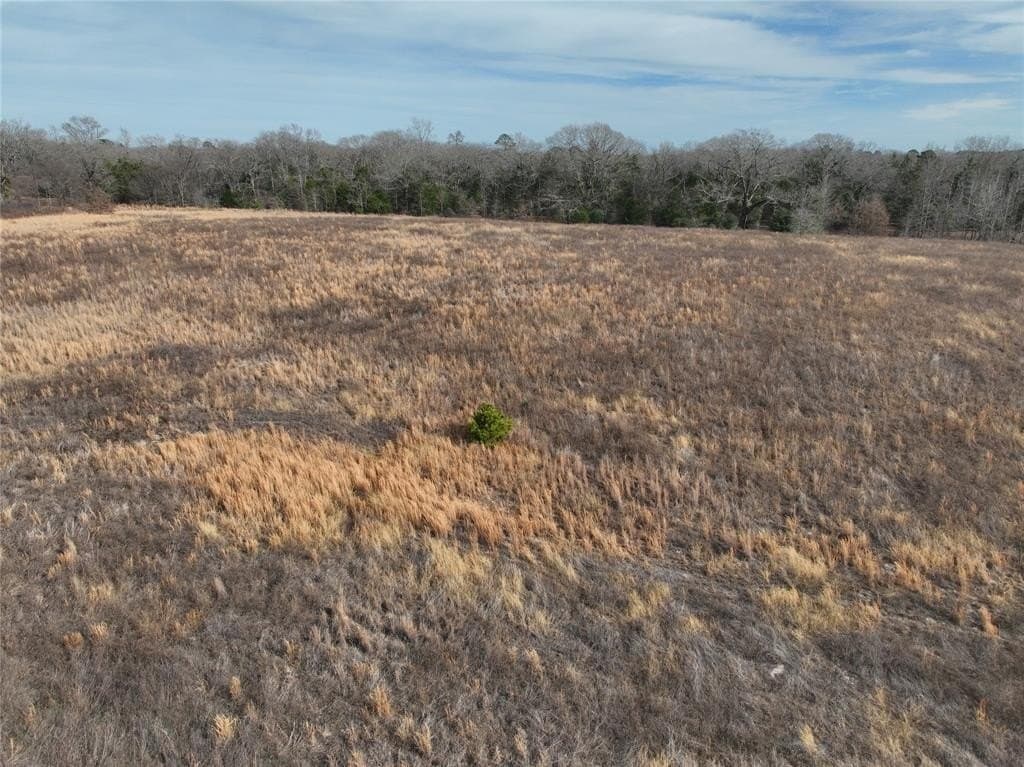 34.41 acres in Wood County - photo 7
