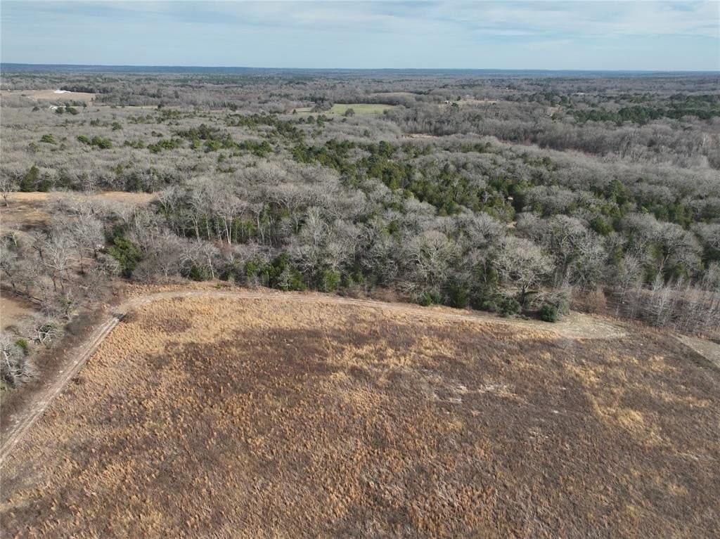 34.41 acres in Wood County - photo 19