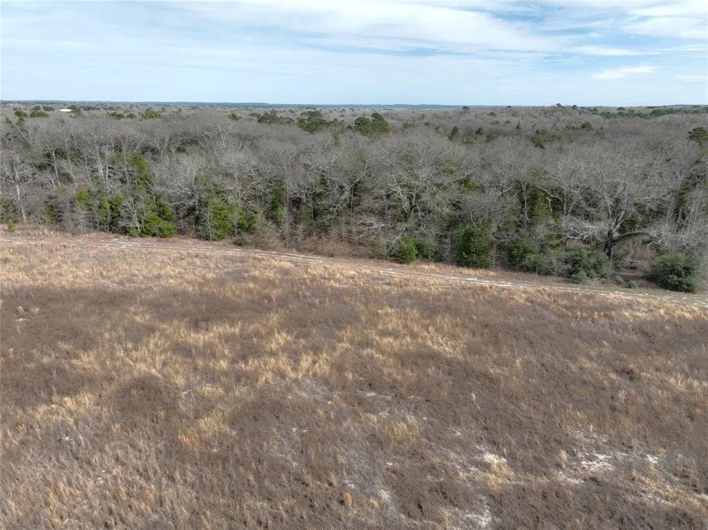 34.41 acres in Wood County - photo 8
