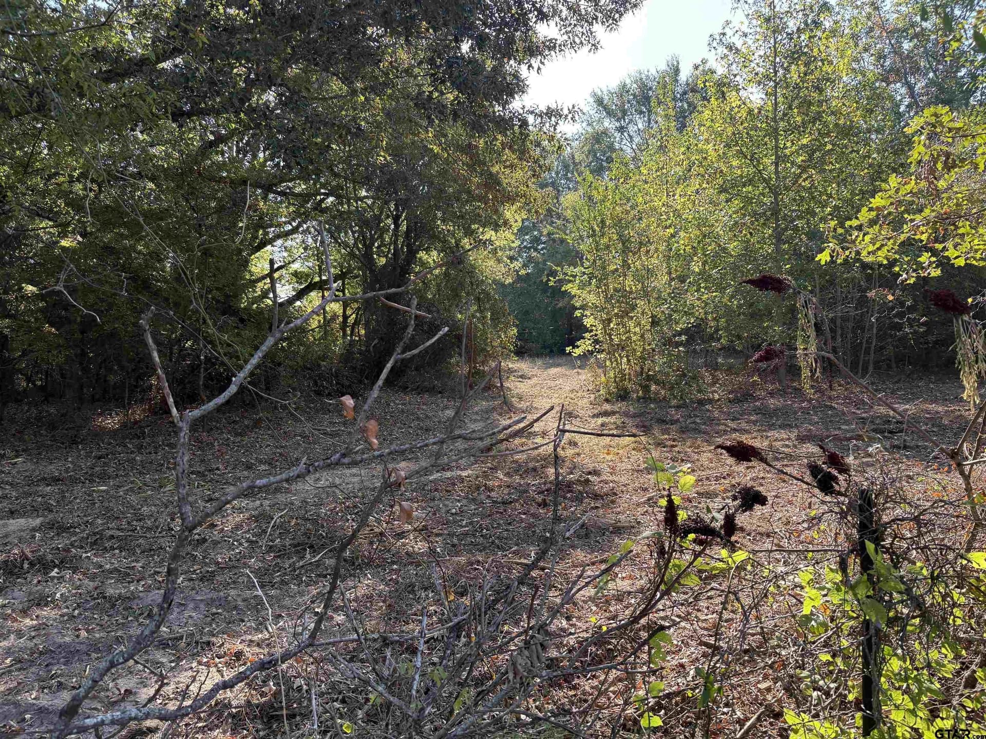 12 acres in Henderson County - photo 10