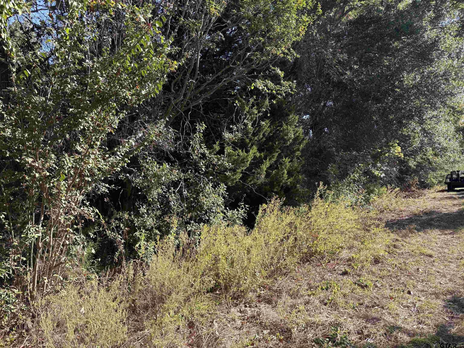 12 acres in Henderson County - photo 12