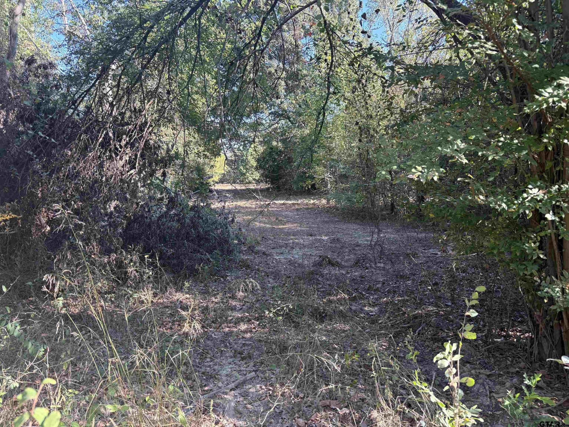 12 acres in Henderson County - photo 5