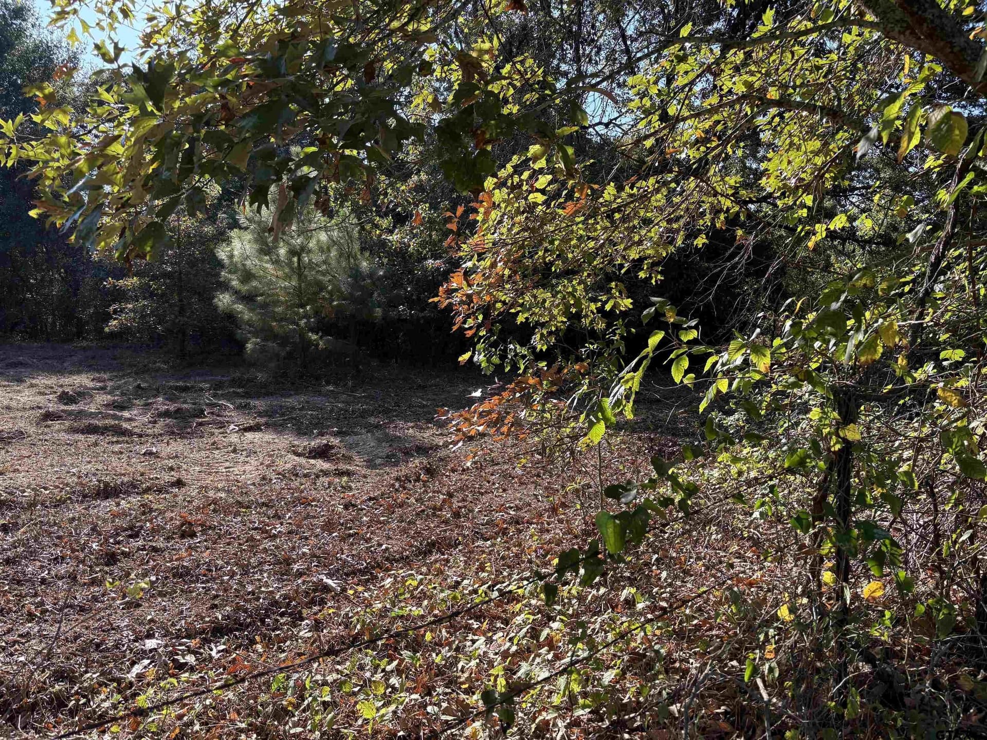 12 acres in Henderson County - photo 3