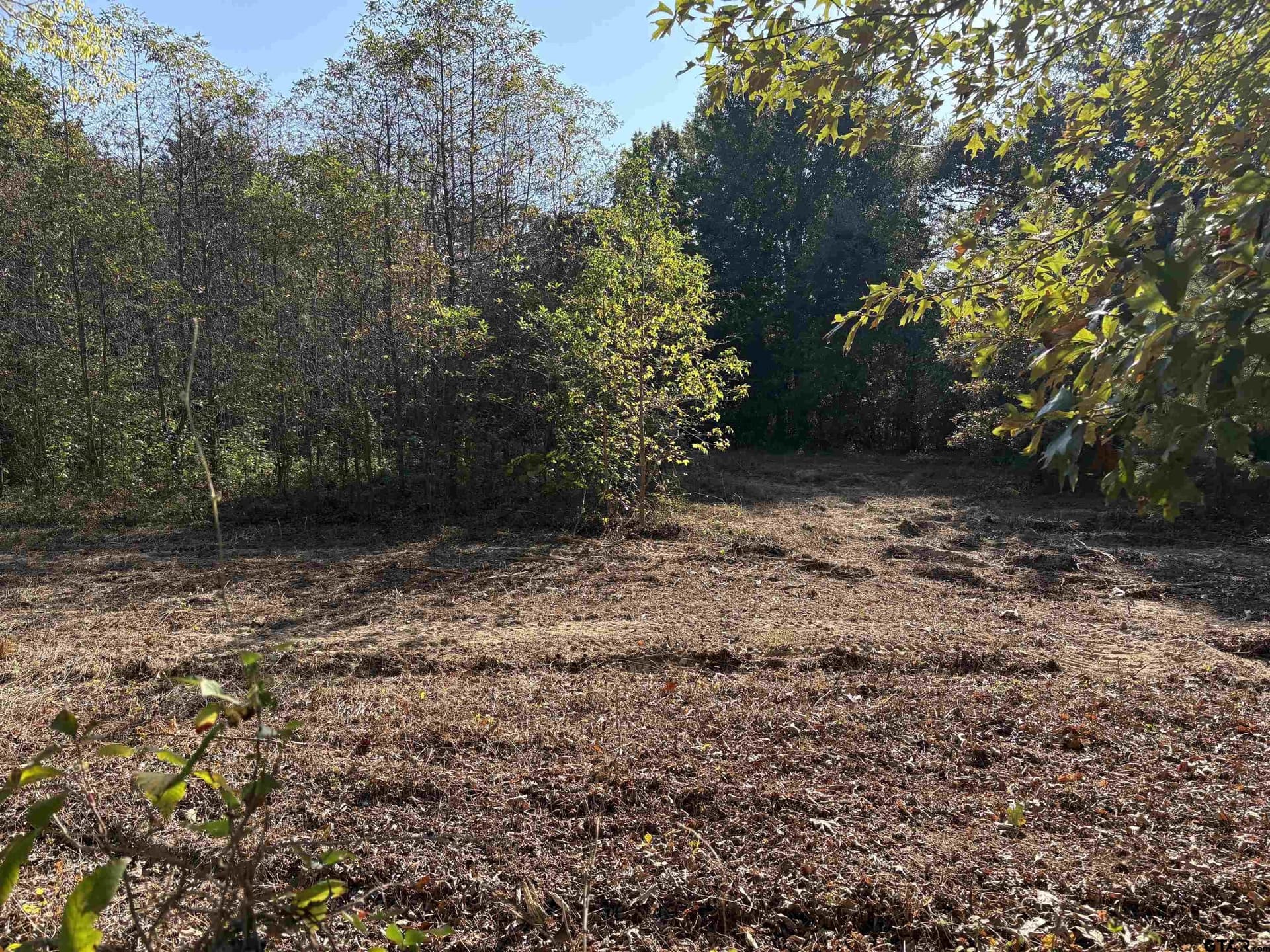 12 acres in Henderson County - photo 2