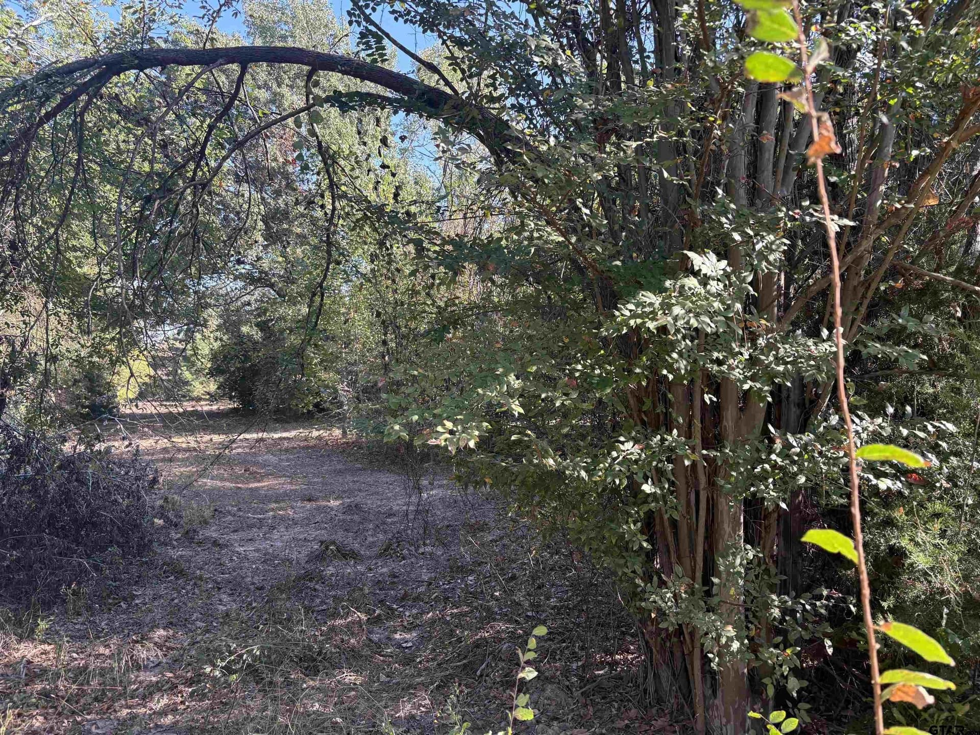 12 acres in Henderson County - photo 4