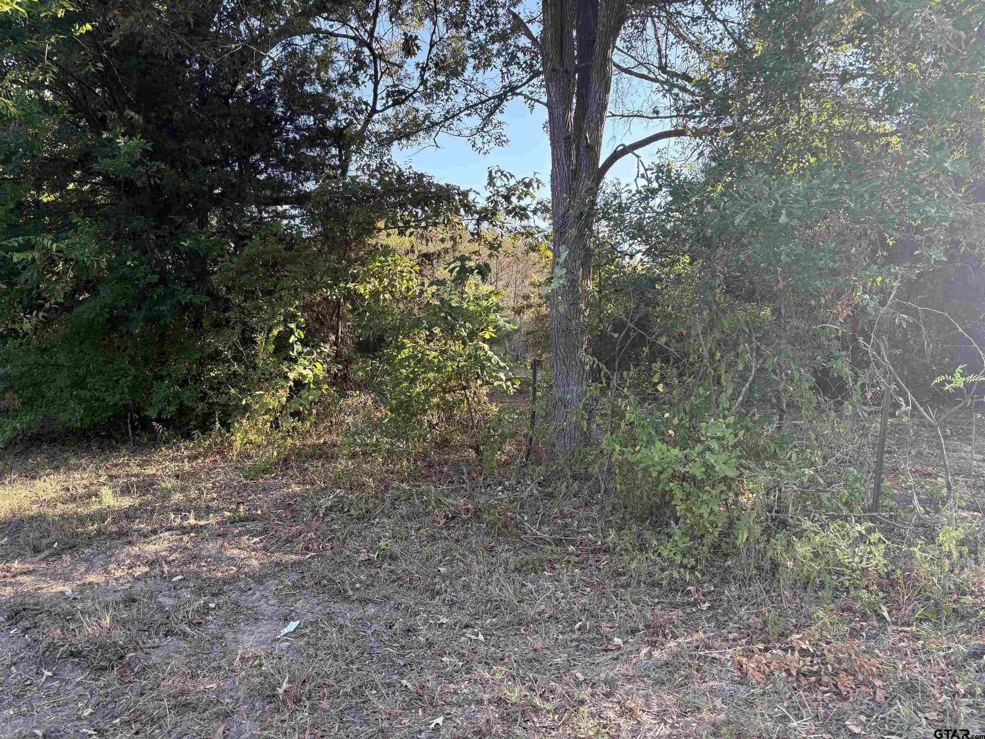 12 acres in Henderson County - photo 7