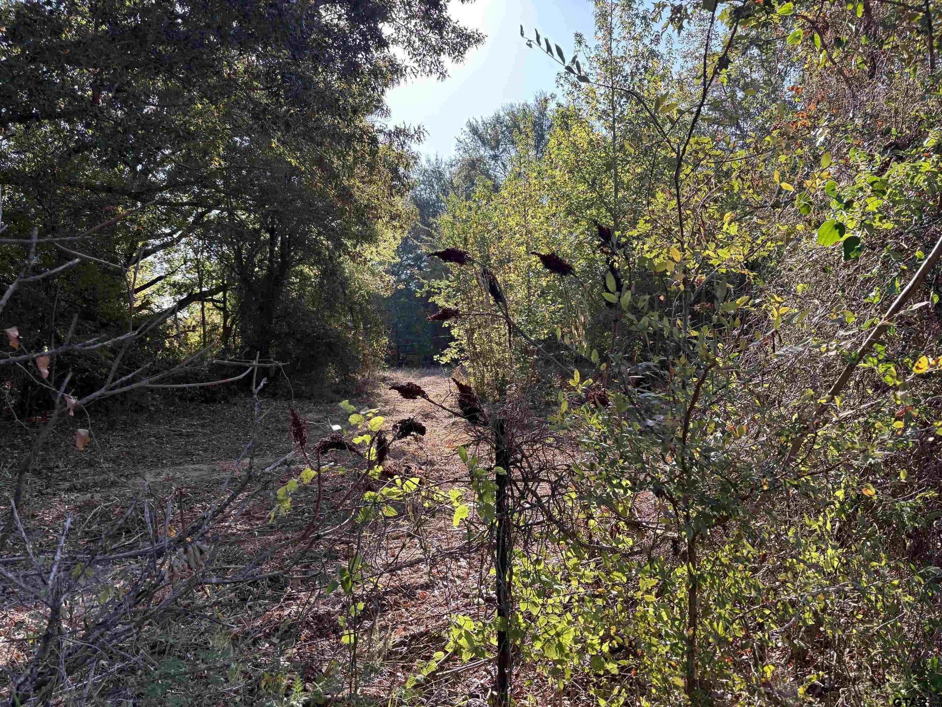 12 acres in Henderson County - photo 11