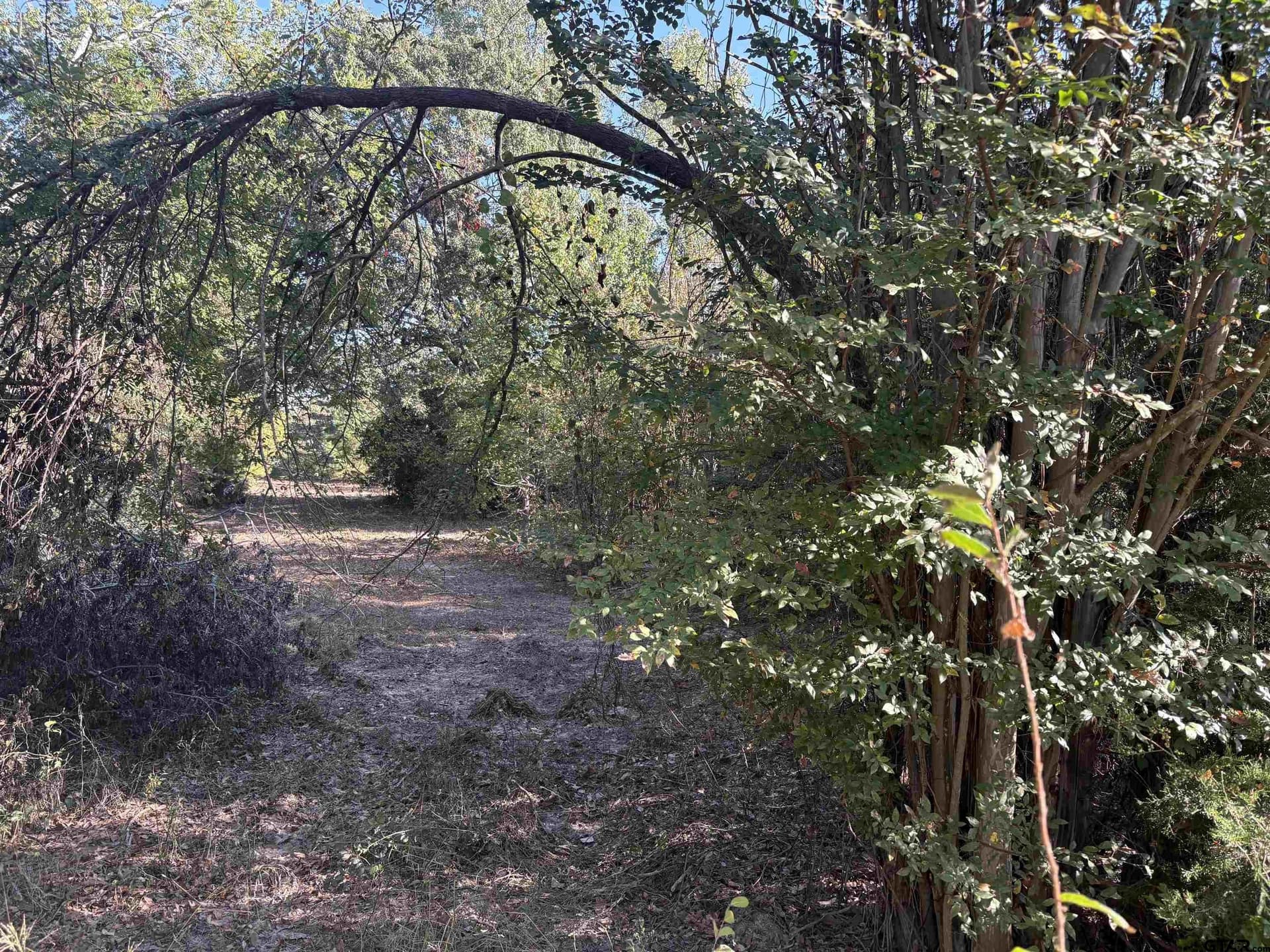 12 acres in Henderson County - photo 14