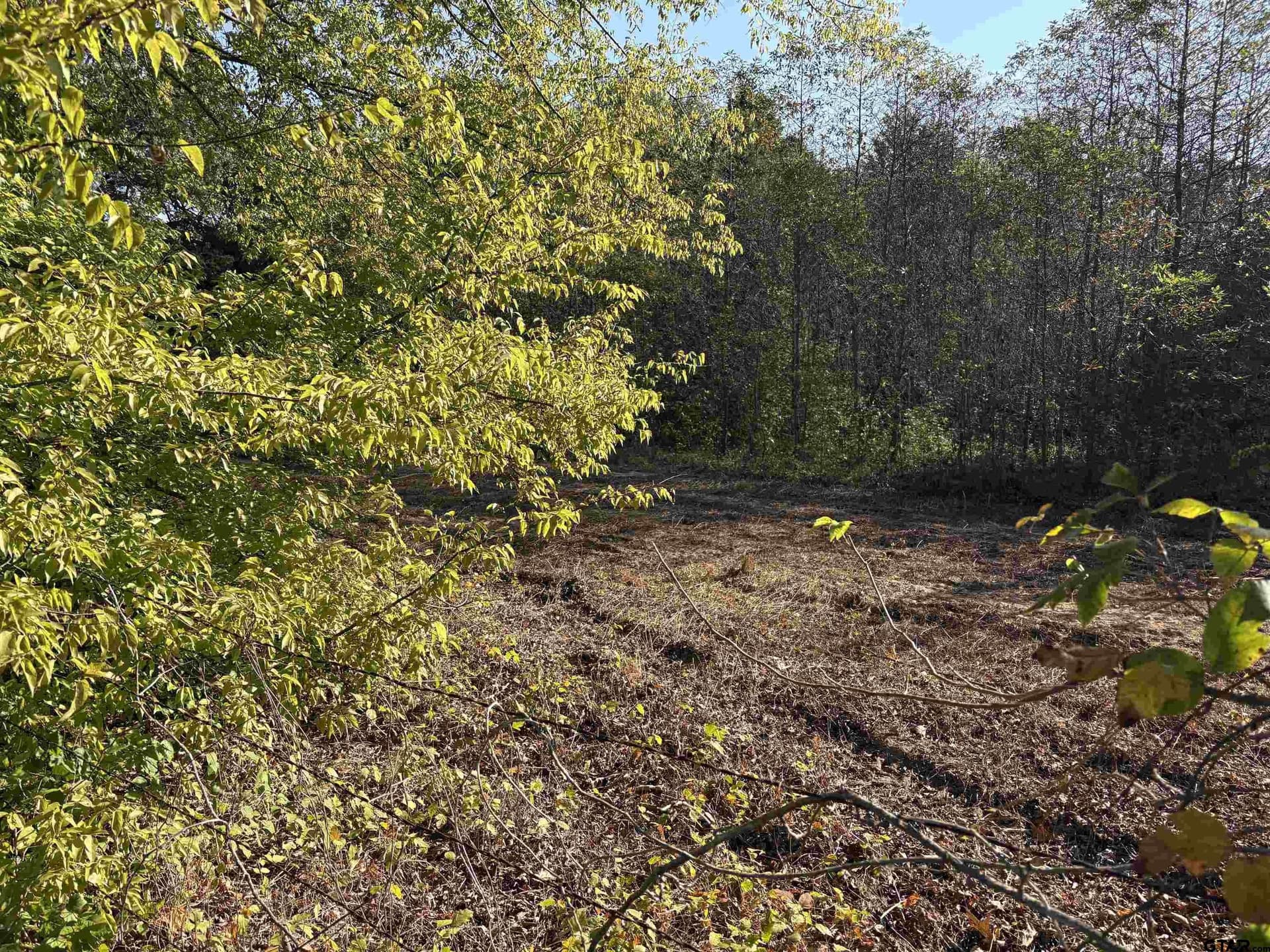 12 acres in Henderson County - photo 6