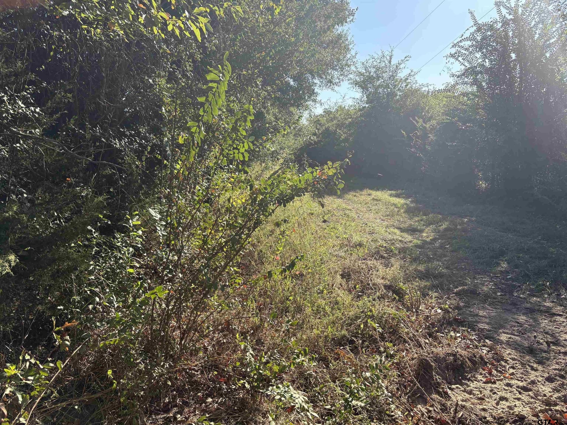 12 acres in Henderson County - photo 13