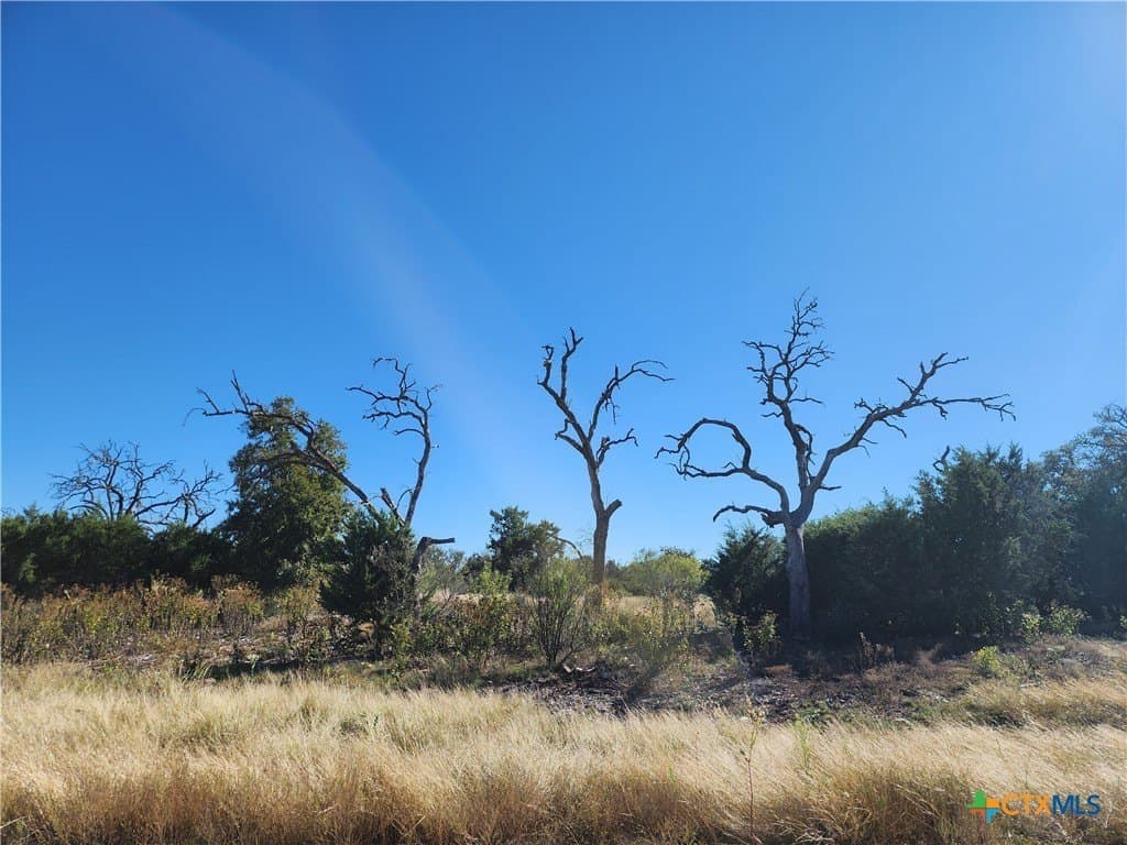 5.16 acres in Burnet County - photo 2