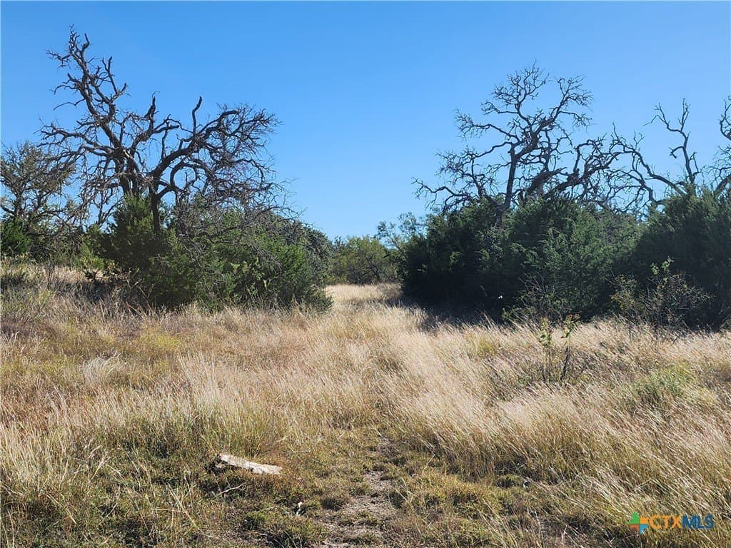 5.16 acres in Burnet County - photo 6