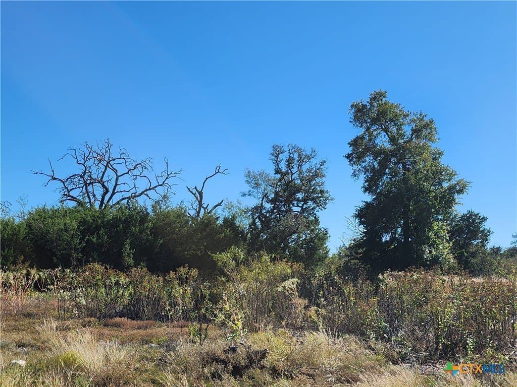 5.16 acres in Burnet County - photo 4