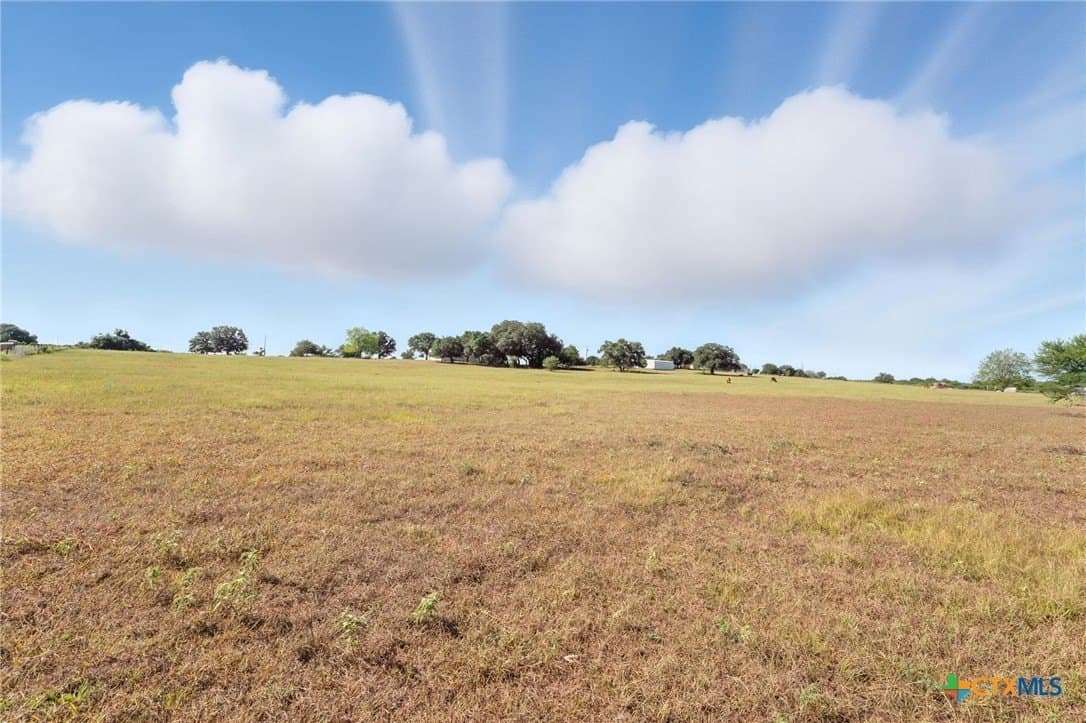 20 acres in Victoria County - photo 27