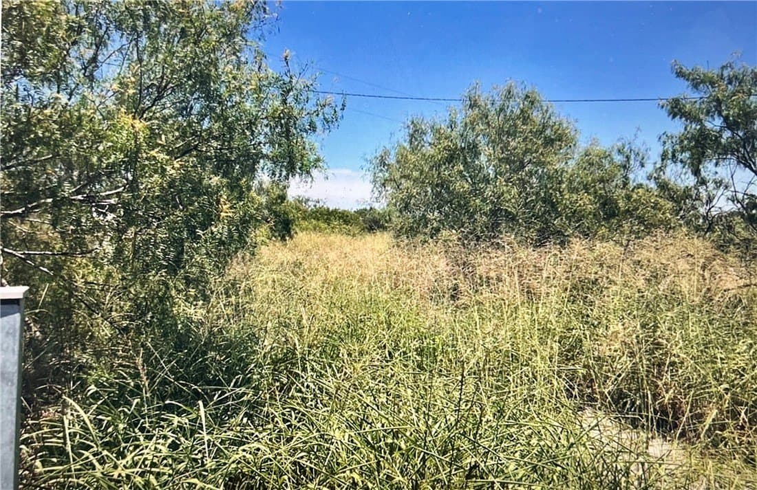 9 acres in Nueces County - photo 2