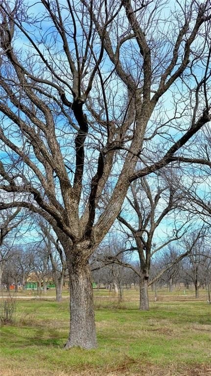 1 acres in Hood County - photo 7