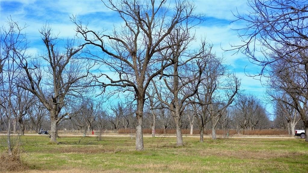 1 acres in Hood County - photo 8