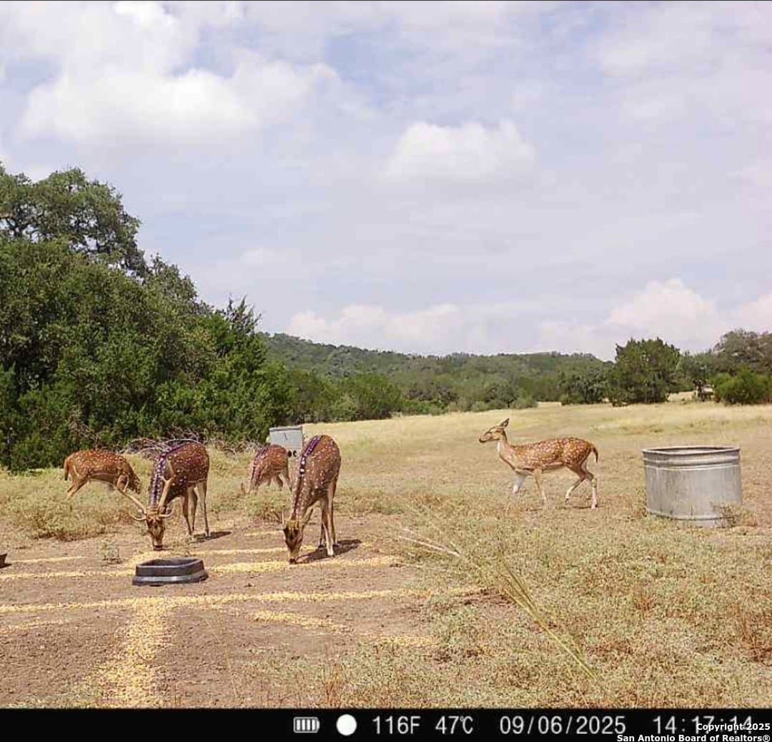 100 acres in Medina County - photo 7