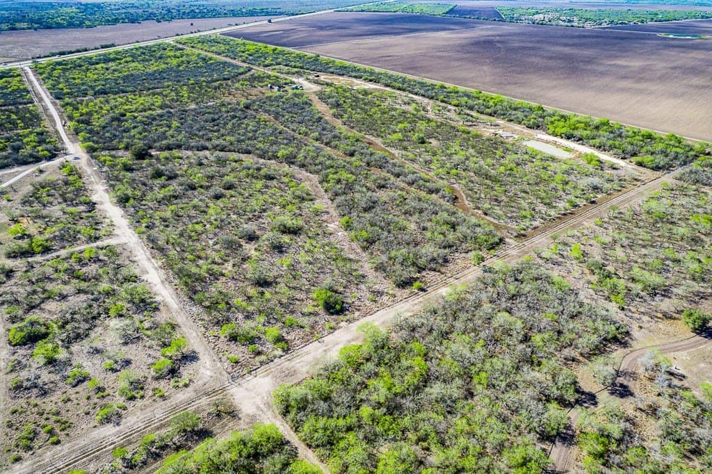 13.55 acres in Bee County - photo 9