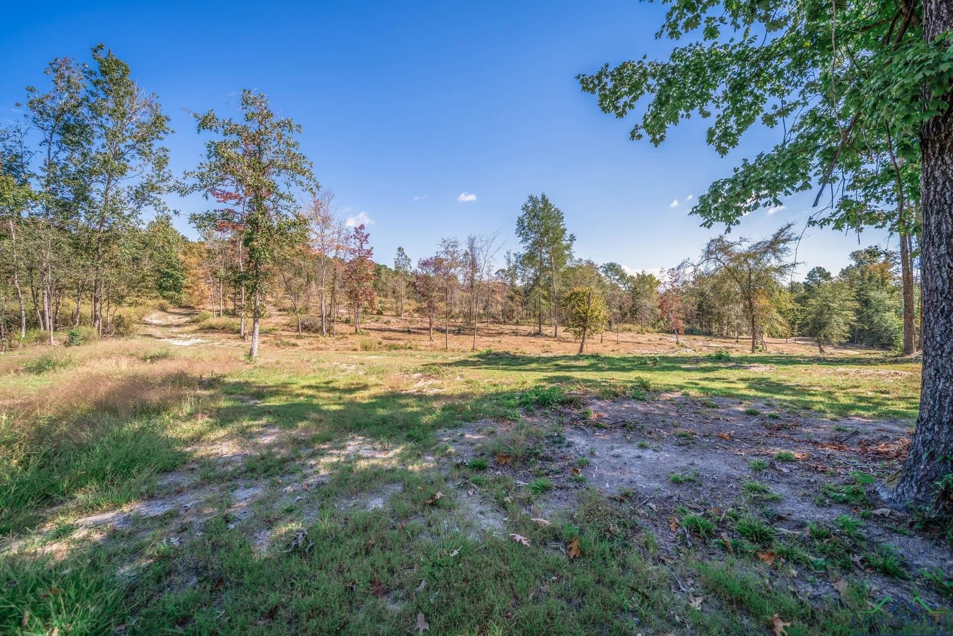 29.24 acres in Harrison County - photo 7