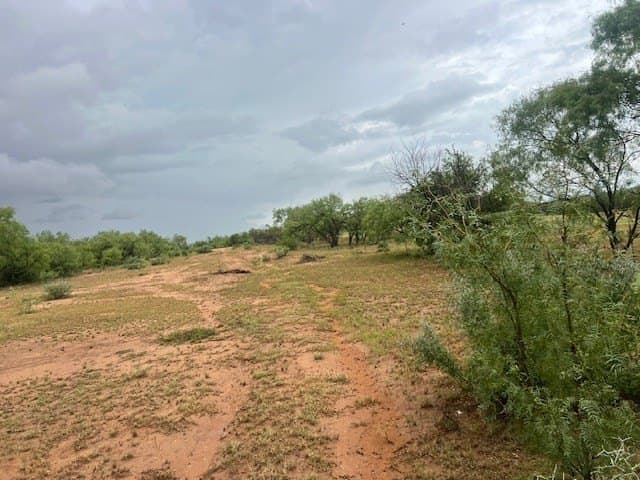 147.9 acres in Scurry County - photo 5