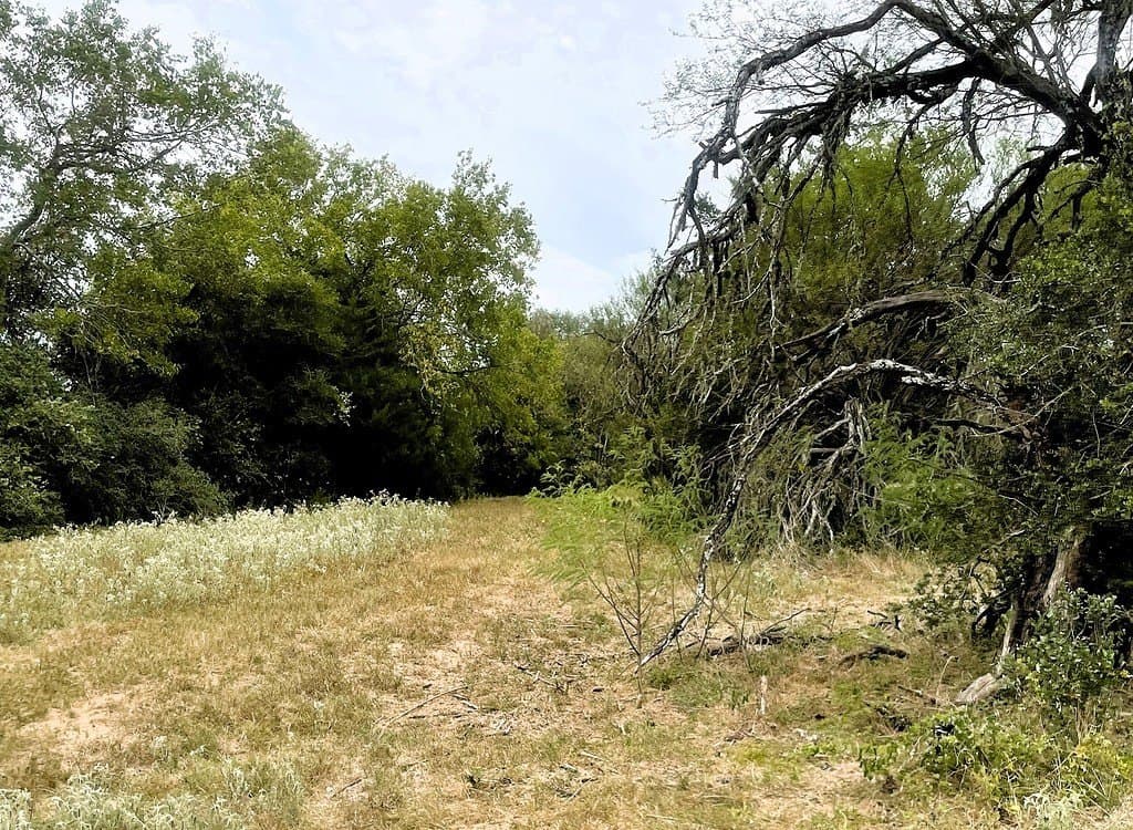 19.05 acres in Lavaca County - photo 17