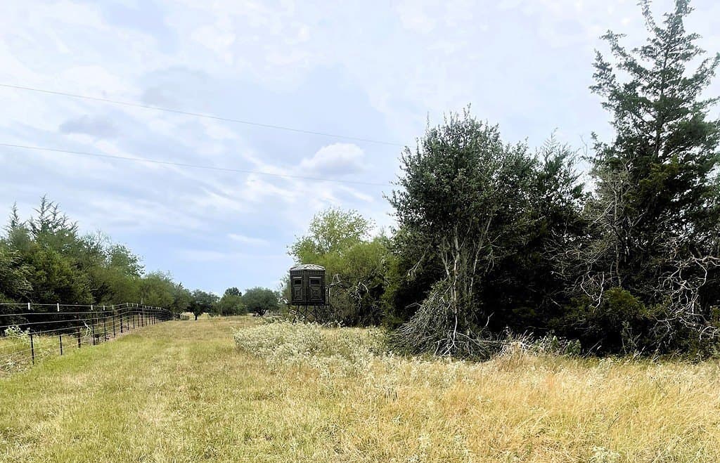 19.05 acres in Lavaca County - photo 15