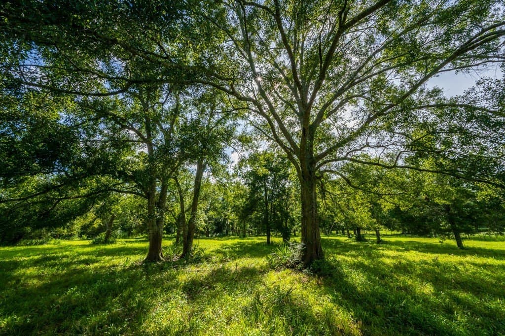 35.24 acres in Texas County - photo 10