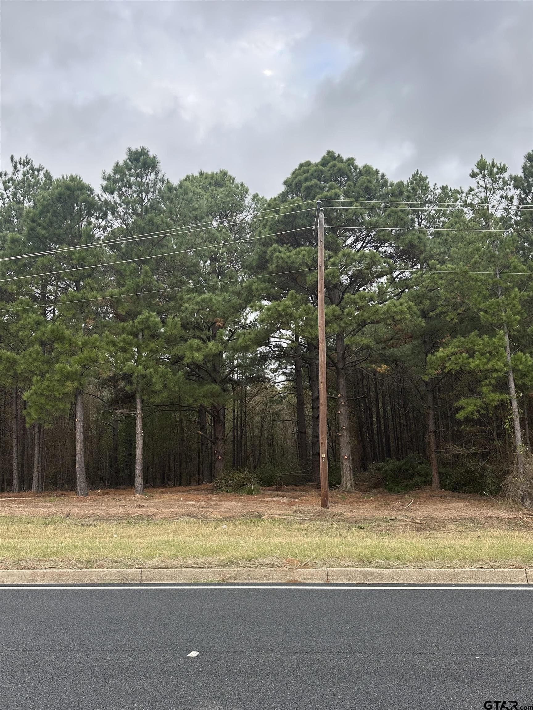 64 acres in Smith County - photo 6