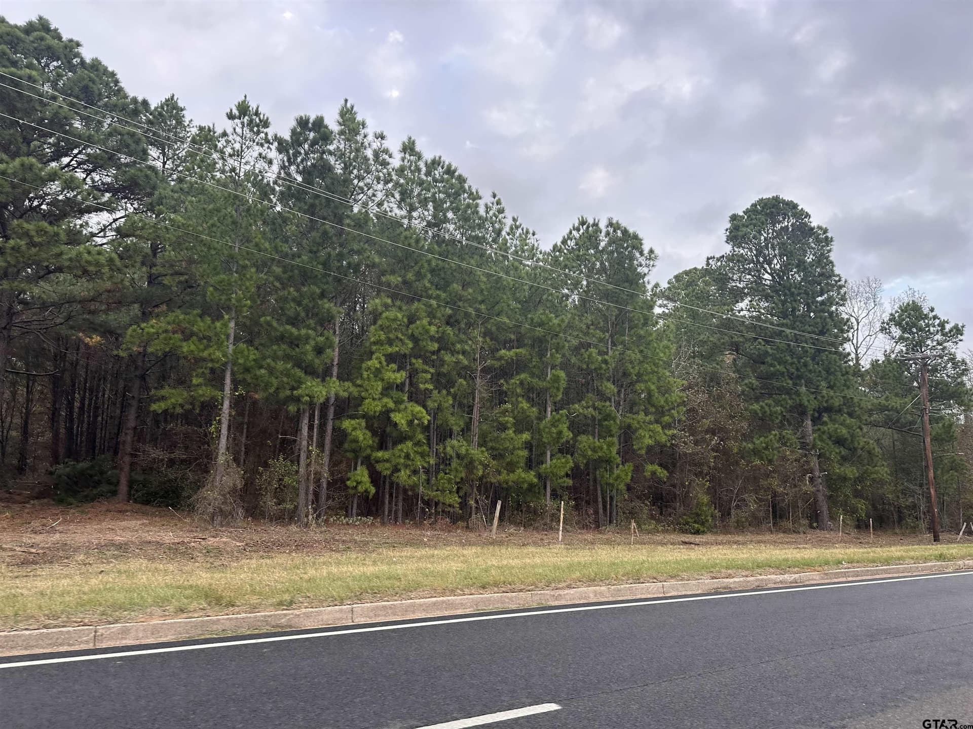 64 acres in Smith County - photo 2